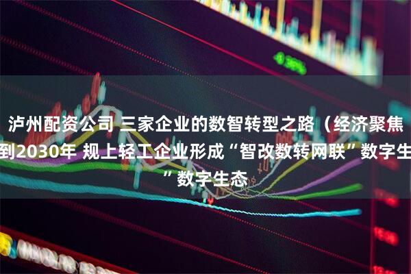 泸州配资公司 三家企业的数智转型之路（经济聚焦）到2030年 规上轻工企业形成“智改数转网联”数字生态