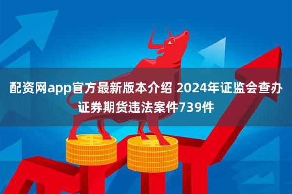 配资网app官方最新版本介绍 2024年证监会查办证券期货违法案件739件